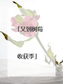 又到树莓收获季