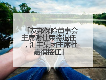 友邦保险董事会主席谢仕荣将退任，汇丰集团主席杜嘉祺接任