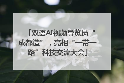 双语AI视频导览员“成都造”，亮相“一带一路”科技交流大会