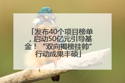 发布40个项目榜单，启动50亿元引导基金！“双向揭榜挂帅”行动成果丰硕