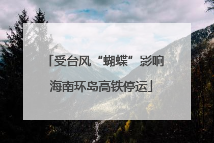 受台风“蝴蝶”影响 海南环岛高铁停运