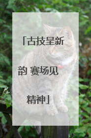 古技呈新韵 赛场见精神
