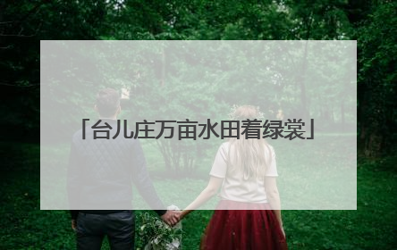 台儿庄万亩水田着绿裳