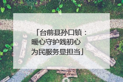 台前县孙口镇：暖心守护践初心 为民服务显担当