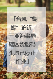 台风“蝴蝶”迫近 三亚海事局辖区货船码头均已停止作业