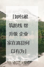 卸包袱 筑防线 帮升级 企业家在嵩县何以有为