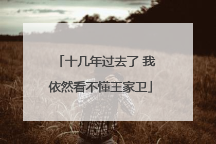 十几年过去了 我依然看不懂王家卫