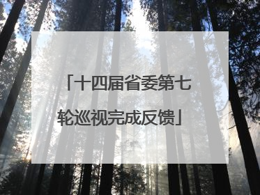 十四届省委第七轮巡视完成反馈
