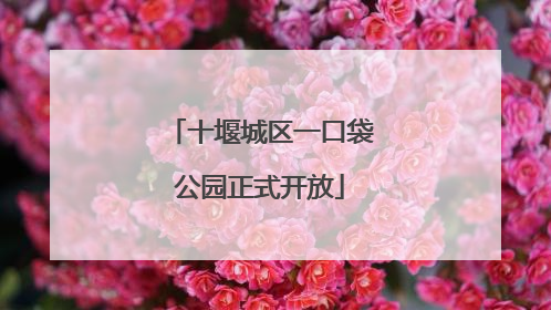 十堰城区一口袋公园正式开放