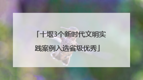 十堰3个新时代文明实践案例入选省级优秀