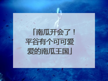 南瓜开会了！平谷有个可可爱爱的南瓜王国
