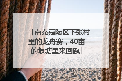 南充嘉陵区下张村里的龙舟赛，40亩的堰塘里来回跑