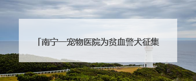 南宁一宠物医院为贫血警犬征集血源，有人带狗狗前来抽血配型