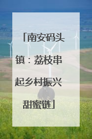 南安码头镇：荔枝串起乡村振兴甜蜜链