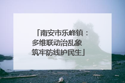 南安市乐峰镇：多维联动治乱象 筑牢防线护民生