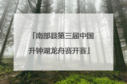 南部县第三届中国升钟湖龙舟赛开赛