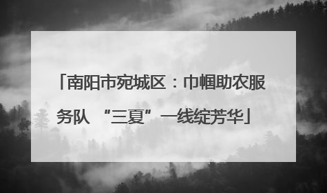 南阳市宛城区：巾帼助农服务队 “三夏”一线绽芳华