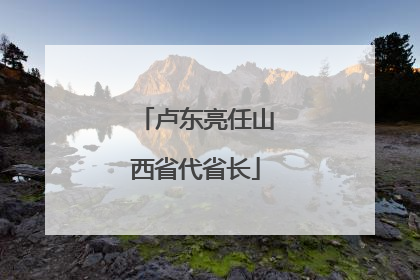 卢东亮任山西省代省长
