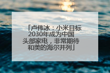 卢伟冰：小米目标2030年成为中国头部家电，非常期待和美的海尔并列