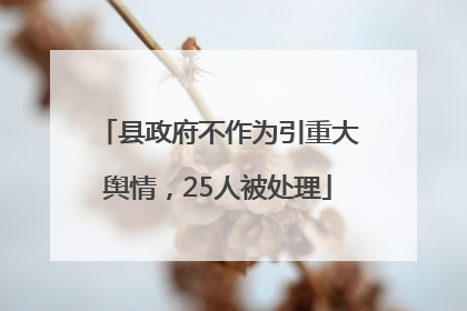 县政府不作为引重大舆情，25人被处理