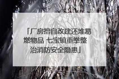 厂房擅自改建还堆易燃物品 七宝镇重拳整治消防安全隐患