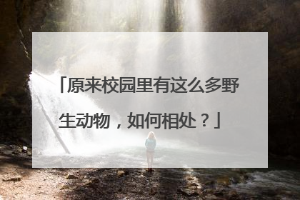 原来校园里有这么多野生动物，如何相处？