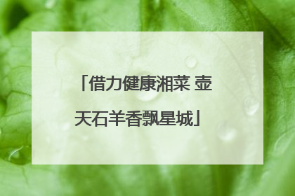 借力健康湘菜 壶天石羊香飘星城