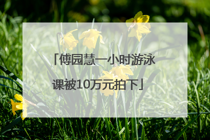 傅园慧一小时游泳课被10万元拍下