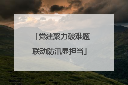 党建聚力破难题 联动防汛显担当