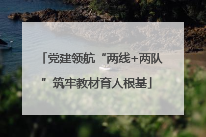 党建领航“两线+两队”筑牢教材育人根基