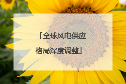 全球风电供应格局深度调整
