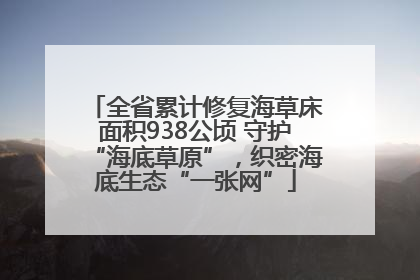 全省累计修复海草床面积938公顷 守护“海底草原”，织密海底生态“一张网”