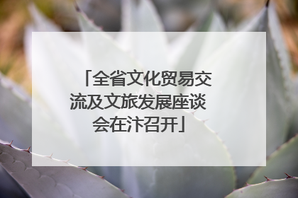 全省文化贸易交流及文旅发展座谈会在汴召开