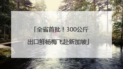 全省首批！300公斤出口鲜杨梅飞赴新加坡