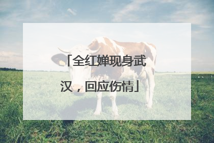 全红婵现身武汉，回应伤情