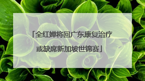 全红婵将回广东康复治疗 或缺席新加坡世锦赛