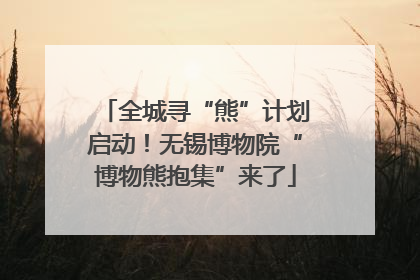 全城寻“熊”计划启动！无锡博物院“博物熊抱集”来了