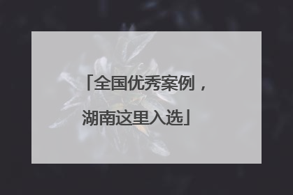全国优秀案例，湖南这里入选
