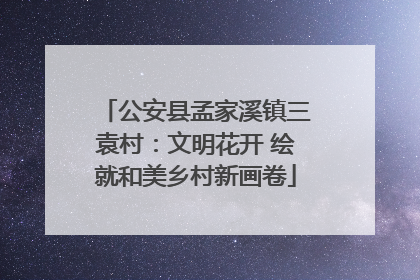 公安县孟家溪镇三袁村：文明花开 绘就和美乡村新画卷