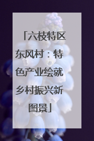 六枝特区东风村：特色产业绘就乡村振兴新图景