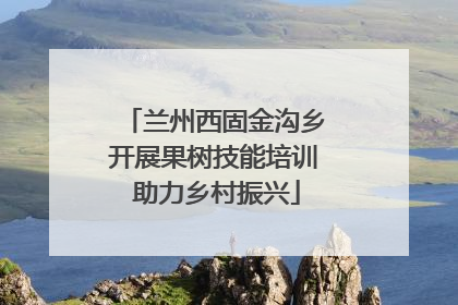 兰州西固金沟乡开展果树技能培训 助力乡村振兴
