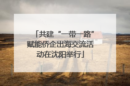 共建“一带一路”赋能侨企出海交流活动在沈阳举行