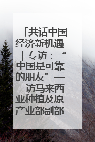 共话中国经济新机遇｜专访：“中国是可靠的朋友”——访马来西亚种植及原产业部副部长陈泓缣