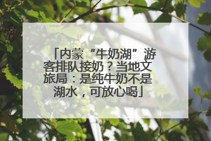 内蒙“牛奶湖”游客排队接奶？当地文旅局：是纯牛奶不是湖水，可放心喝
