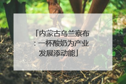 内蒙古乌兰察布：一杯酸奶为产业发展添动能