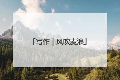 写作｜风吹麦浪