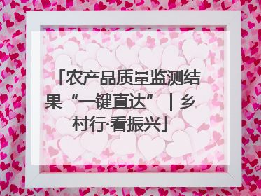 农产品质量监测结果“一键直达”｜乡村行·看振兴