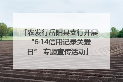 农发行岳阳县支行开展“6·14信用记录关爱日” 专题宣传活动