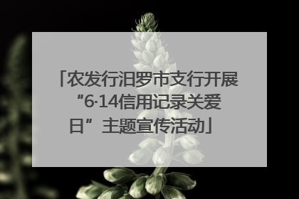 农发行汨罗市支行开展“6·14信用记录关爱日”主题宣传活动