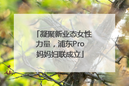 凝聚新业态女性力量，浦东Pro妈妈妇联成立